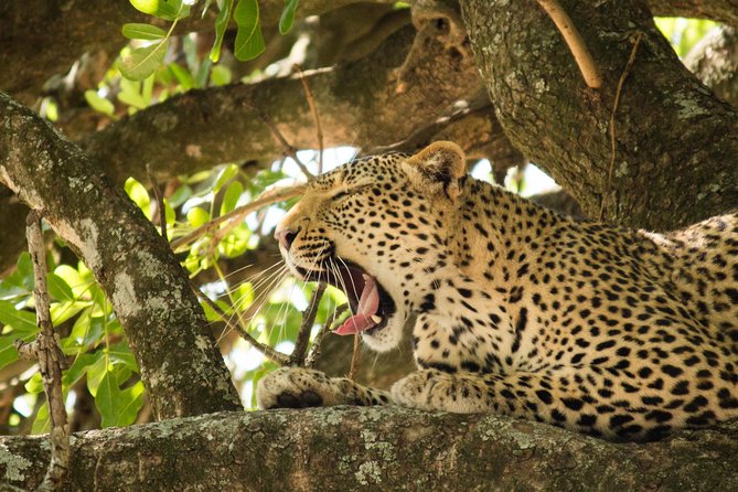 4 Day Budget Kruger National Park Safari - Safari Itinerary
