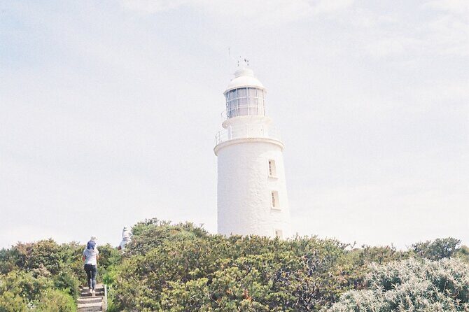 4 Day Bundle - Hobart, Port Arthur, Bruny, Hastings and Tahune - Who Should Consider This Tour?