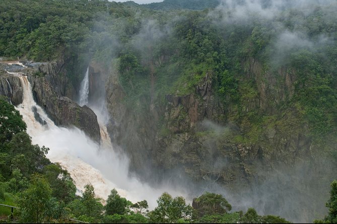4 Day Cairns: Daintree Rainforest, Reef, Kuranda & Paronella Park - Common Questions