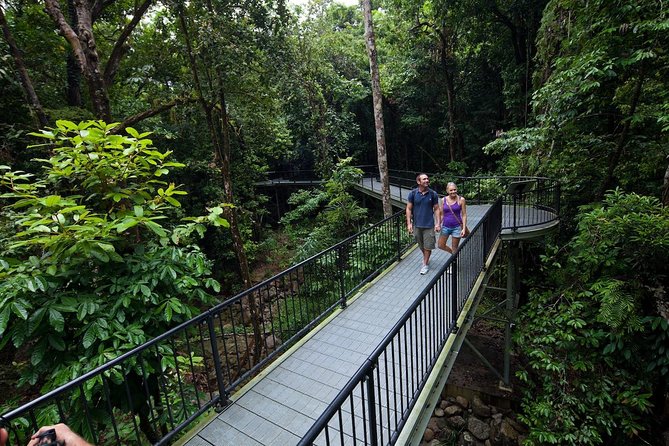 4-Day Cairns With Great Barrier Reef and Daintree Rainforest - Lowest Price Guarantee