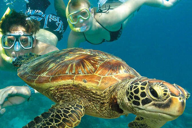 4-Day Cairns With Great Barrier Reef and Daintree Rainforest - Questions?