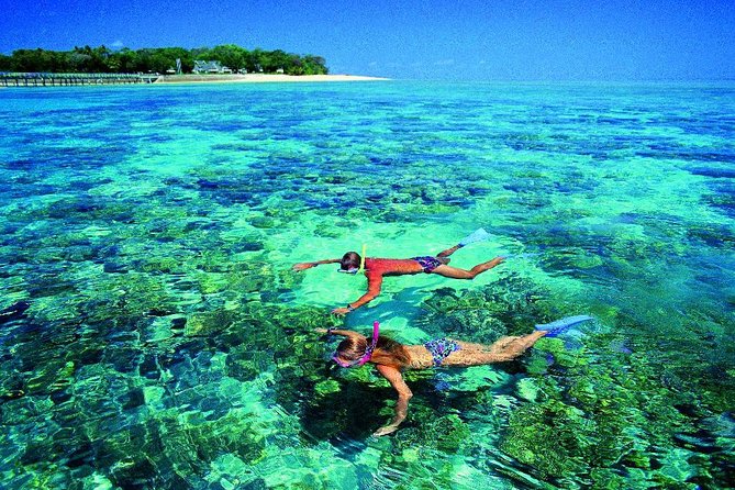4-Day Cairns With Great Barrier Reef and Daintree Rainforest - Additional Information