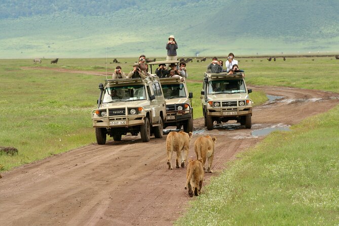 4-Day Camping on the Big Five Private Safari - Pickup Logistics and Meeting Points