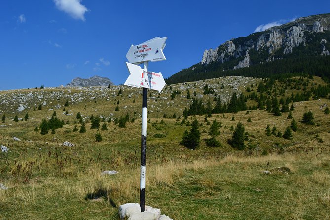4-Day Carpathian Trek: Bucegi Mountains and Piatra Craiului National Park - Pricing Details and Guarantee