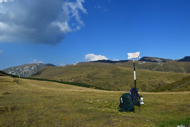 4-Day Carpathian Trek: Bucegi Mountains and Piatra Craiului National Park - Reviews and Testimonials