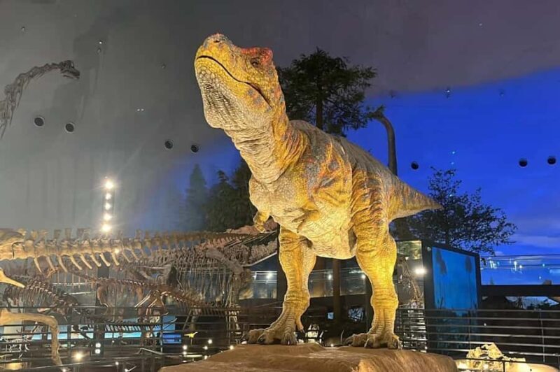 4-Day Cultural Tour from Tokyo to Kanazawa & Fukui - FAQ