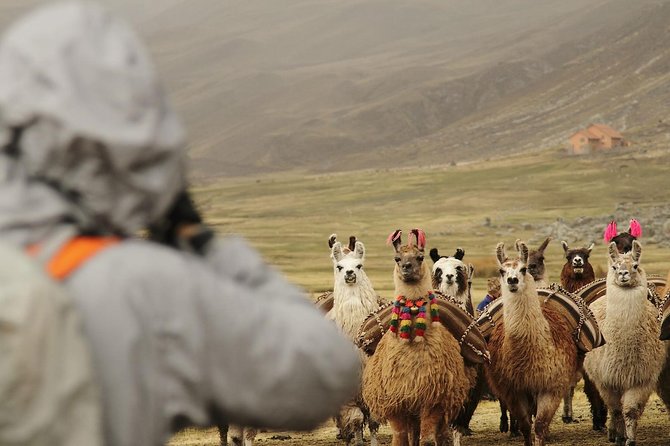 4 Day : Cusco Machupicchu Rainbow Mountain City Tour - The Sum Up
