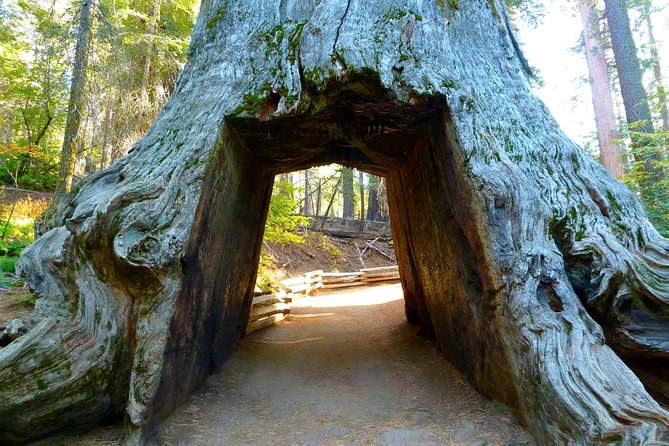 4 Day Death Valley, Yosemite, San Francisco From Las Vegas Camp or Lodge - The Sum Up
