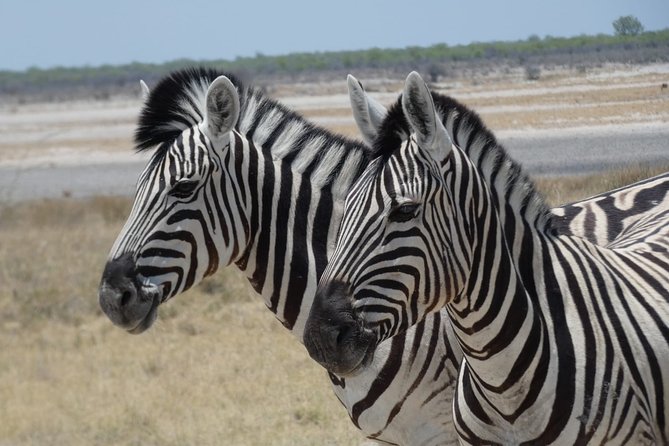 4 Day Desert & Bushmen Trail: Central Kalahari Game Reserve - WildCamping Safari - Pickup and Operating Details