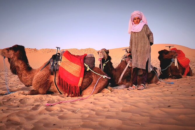 4-Day Desert Luxury Odyssey: Marrakech to Merzouga - Activity Inclusions