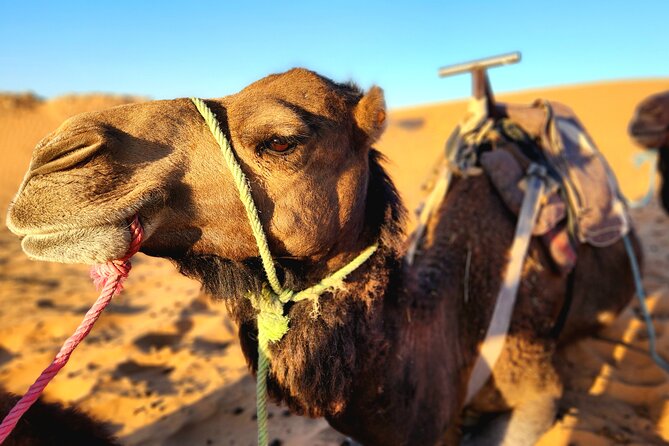 4-Day Desert Luxury Odyssey: Marrakech to Merzouga - Cancellation Policy