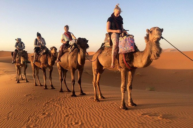 4-Day Desert Tour With 2-Nights Glamping Experience: the Best for Desert Lovers - Booking and Pricing Information