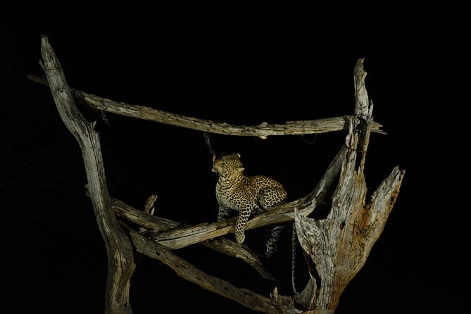 4-Day Diani to Tsavo West, Amboseli &Tsavo East - Good To Know