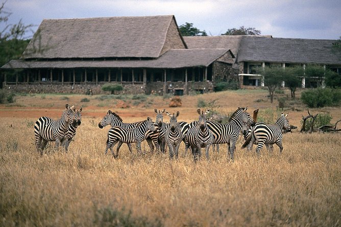 4-Day Diani to Tsavo West, Amboseli &Tsavo East - Accommodation and Meals