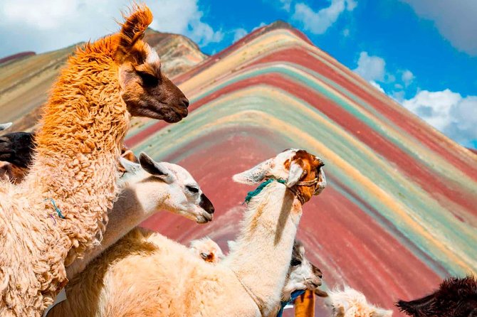 4-Day Excursion to Machupicchu & Rainbow Mountain & City Tour All Included - Itinerary Highlights