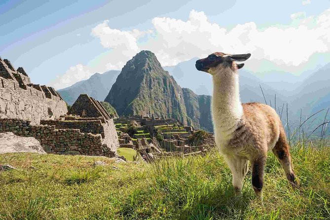 4-Day Excursion to Machupicchu & Rainbow Mountain & City Tour All Included - Pricing and Booking Details