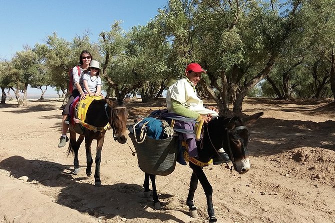 4 Day Family Trek In Morocco - Atlas Mountains and Berber Villages & Waterfalls - Cultural Experiences