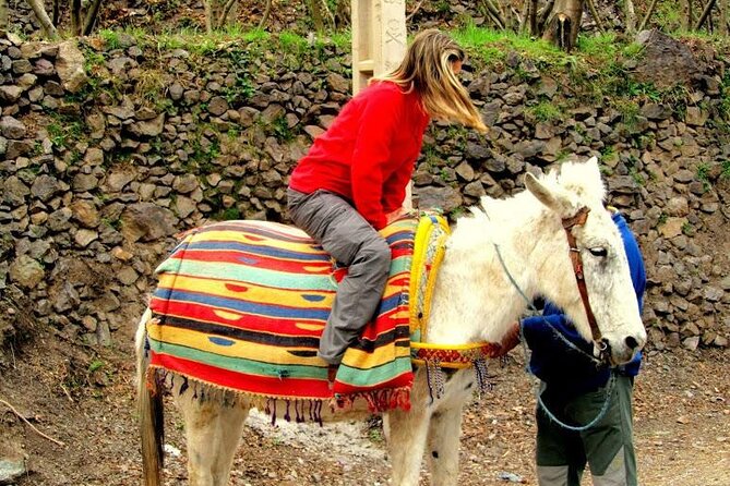 4 Day Family Trek In Morocco - Atlas Mountains and Berber Villages & Waterfalls - Tips for a Memorable Trek