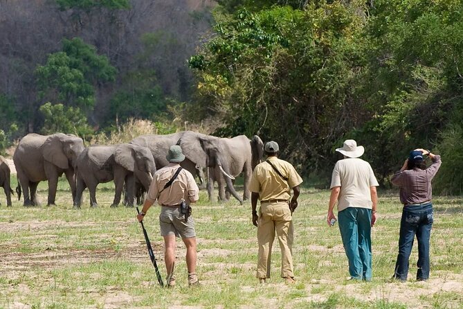 4-Day Fly From Zanzibar to Selous National Park - Itinerary Highlights