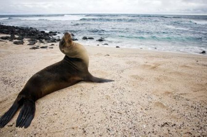 4-Day Galapagos Islands Cruise: Itinerary C (South) Aboard the Monserrat Yacht - Yacht Overview and Inclusions