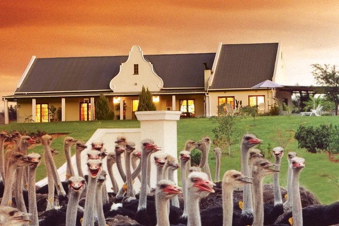 4 Day Garden Route Meander Safari Tour With Private Transfers - Overview and Itinerary
