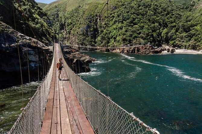 4-Day Garden Route Private Tour From Cape Town to Addo Safari - Accommodation and Meals