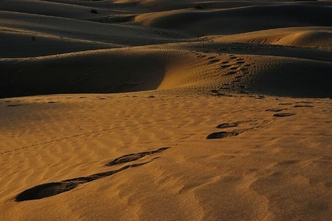 4-Day Golden Triangle Tour With Jaisalmer - Additional Information