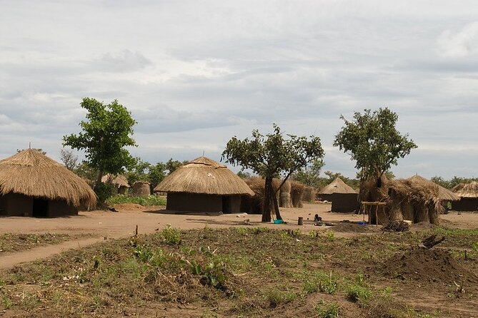 4 Day Gorilla Trekking in Uganda - What To Expect