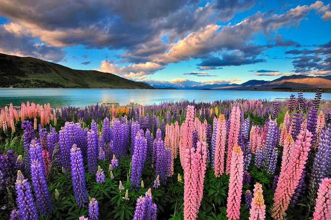 4-Day Great Southern Island Circle Tour From Christchurch - Overview and Itinerary