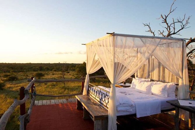 4 Day Greater Kruger Kapama Game Lodge Safari With Panorama Route Journey - Additional Information and Reviews
