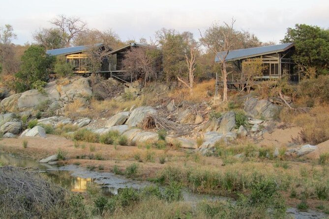 4 Day Greenfire Game Lodge Safari - Safari Highlights