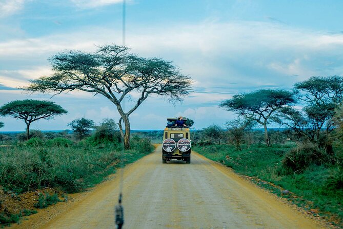 4-Day Group Joining Safari in Tanzania | Shared Safari - Operator Information