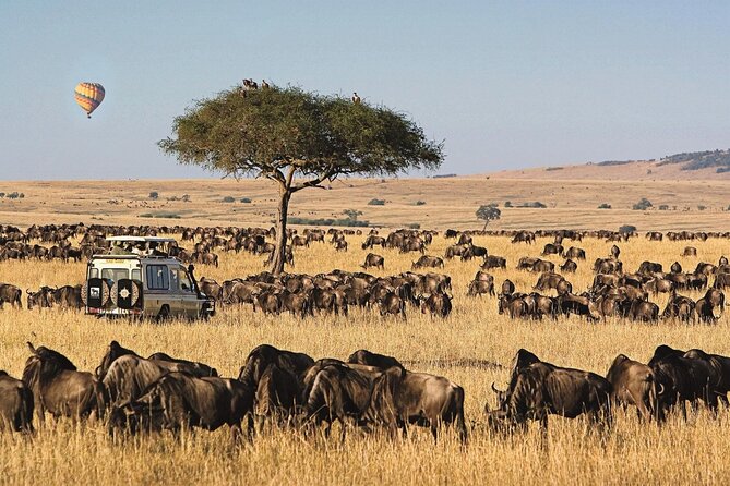 4 Day Group Safari to Masaai Mara and Lake Nakuru National Park - Safety and Guidelines