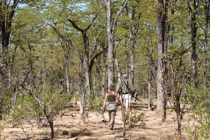 4-Day Group Safari to Tarangire, Serengeti & Ngorongoro Crater - Safari Highlights