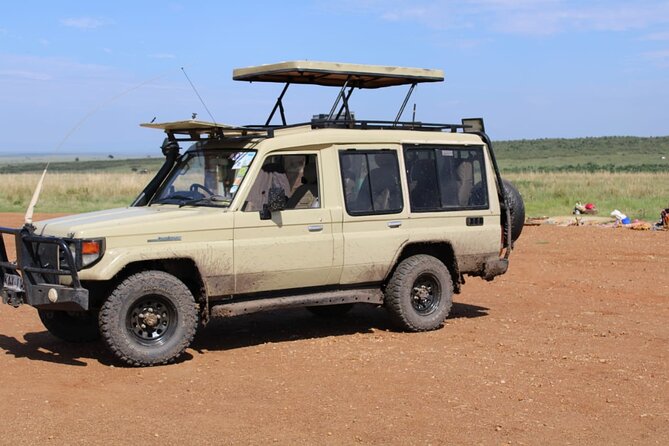 4 Day Group Tour to Maasai Mara and Lake Nakuru by a 4WD Cruiser - The Sum Up