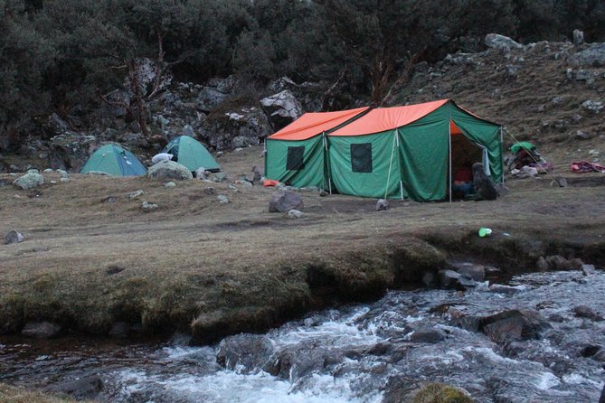4-Day Group-Tour to Machu Picchu via Lares Valley With Meals - Cusco - Traveler Photos