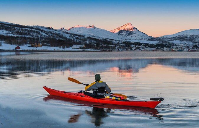 4-Day Guided Whale Adventure: the Greatest ECO Whale Experience in the North - Tour Details