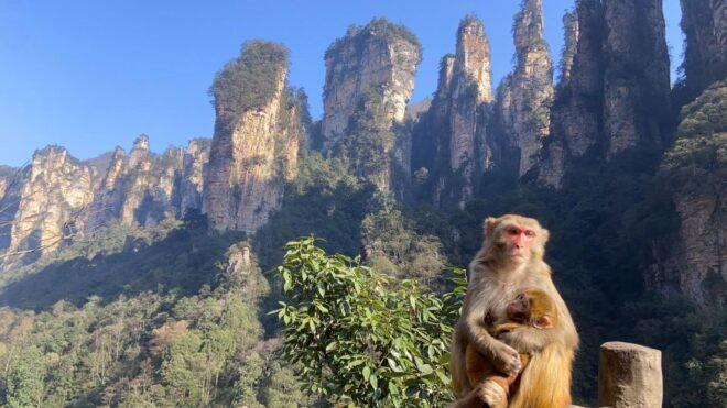 4-Day Highlights of Zhangjiajie With Sunrise Experience - Additional Information