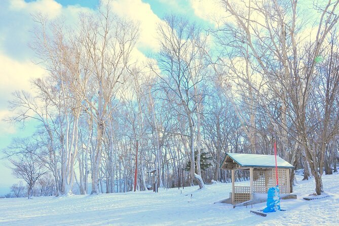 4-Day Hokkaido Highlight Tour - Itinerary Overview