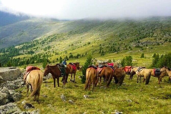 4-Day Horseback Adventure to Khagiin Khar Lake - Good To Know  