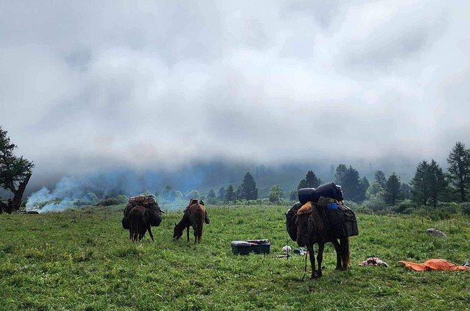 4-Day Horseback Adventure to Khagiin Khar Lake - Final Thoughts