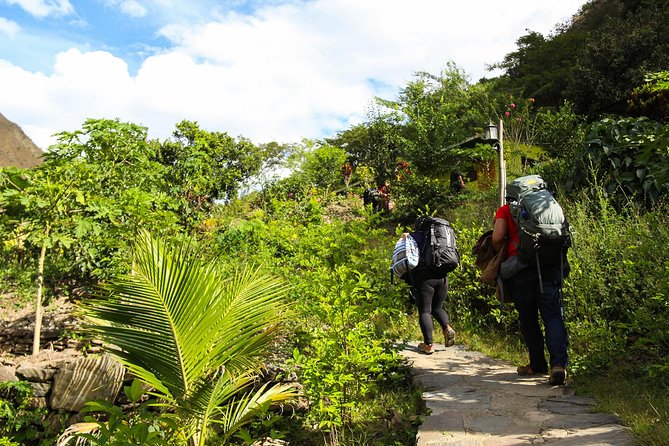 4-Day Inca Jungle Premium to Machu Picchu From Cusco - Common Questions