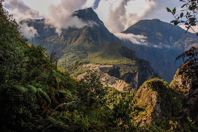 4-Day Inca Jungle Premium to Machu Picchu From Cusco - The Sum Up