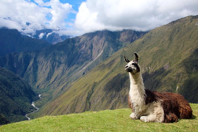 4 Day - Inca Trail to Machu Picchu - Group Service - The Sum Up
