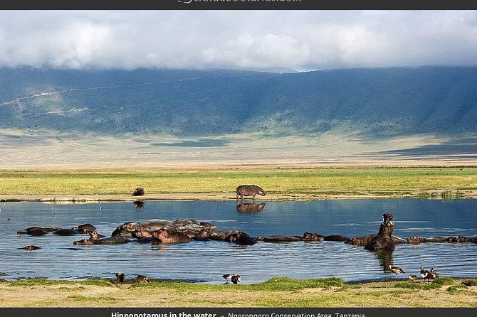 4 Day Joined Group Safari Ngorongoro, Manyara,Tarangire and Arusha National Park - Safari Itinerary Overview