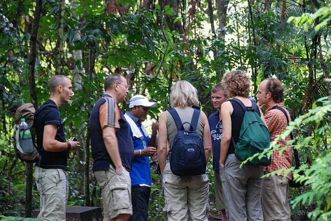 4-Day Jungle Experience in Taman Negara From Kuala Lumpur - Final Tips and Recommendations