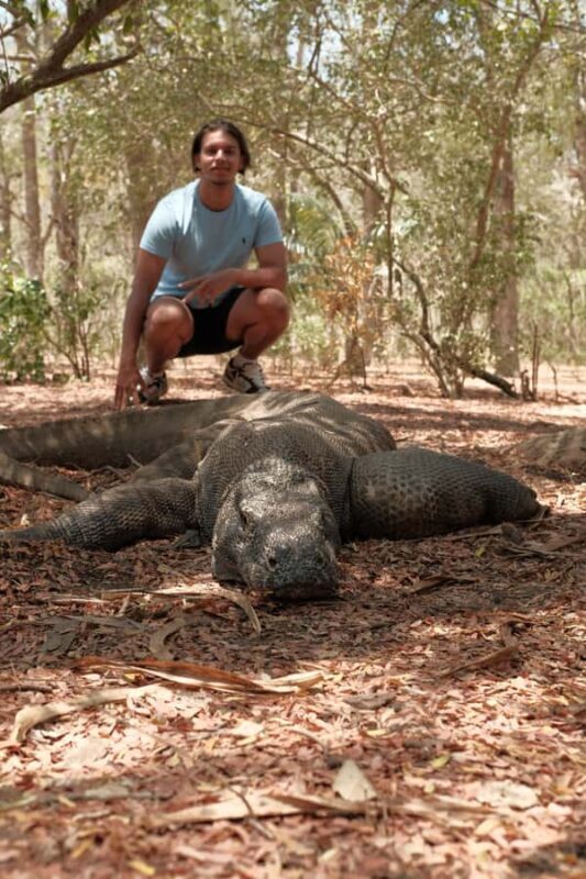 4-Day Komodo Island Adventure: Dragons, Snorkeling & Hiking - Good To Know