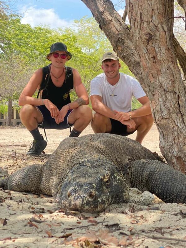 4-Day Komodo Island Adventure: Dragons, Snorkeling & Hiking - Authentic Experience and Tips