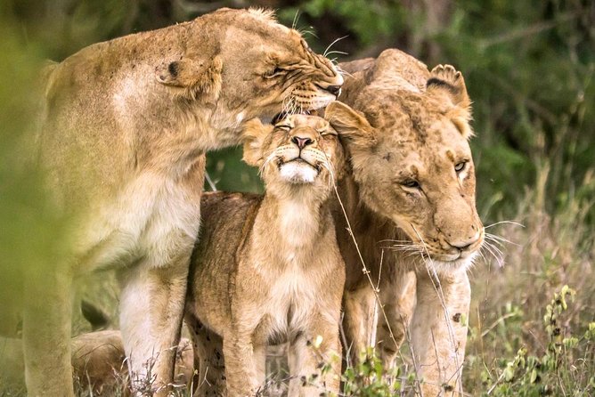 4 Day Kruger National Park and Panorama Route Safari - Accommodation and Amenities