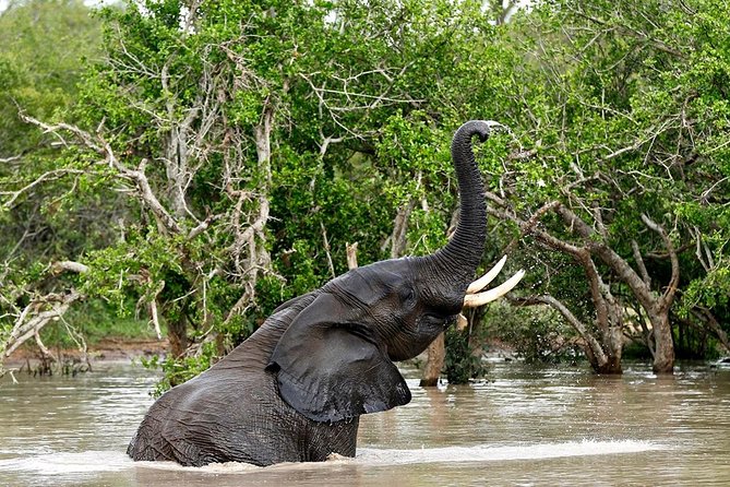 4 Day Kruger National Park and Panorama Route Safari - Common Questions